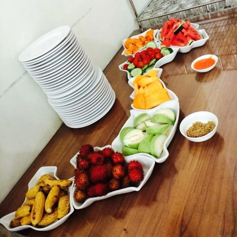 Van Son Hotel Da Nang